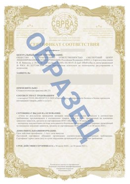 Образец Сертификат СТО 01.064.00220722.2-2020 Усолье-Сибирское Сертификат СТО 01.064.00220722.2-2020 